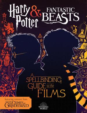 Cover of the book A Spellbinding Guide to the Films (Harry Potter and Fantastic Beasts) by Jenne Simon