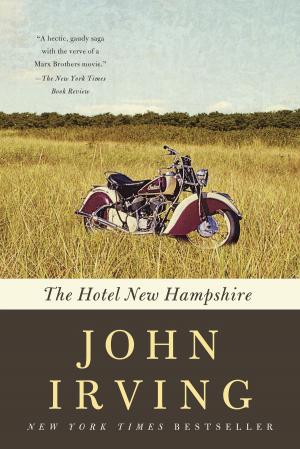 Cover of the book The Hotel New Hampshire by Mariela Dabbah