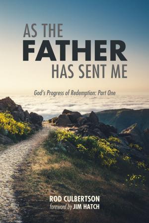 Cover of the book As The Father Has Sent Me by Walter Friedman