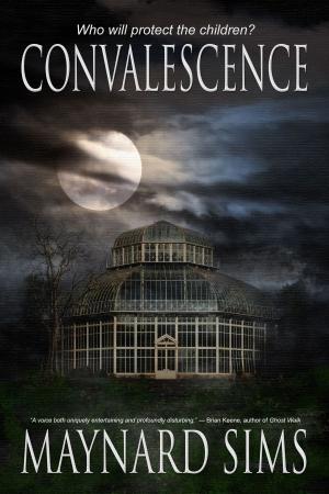 Cover of the book Convalescence by Trent Zelazny