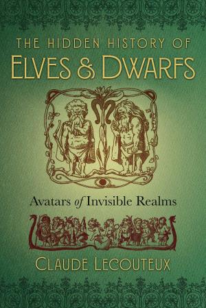 Cover of the book The Hidden History of Elves and Dwarfs by 王牧音