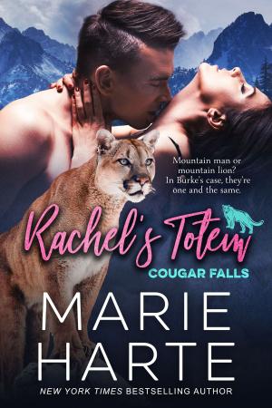 bigCover of the book Rachel's Totem by 