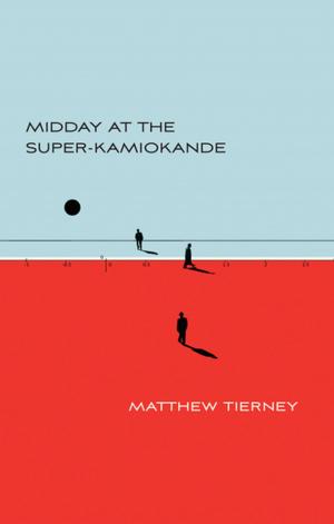 Cover of the book Midday at the Super-Kamiokande by Norah Sadava Norah Sadava, Amy Nostbakken