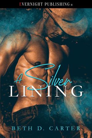 Cover of the book A Silver Lining by Cait Jarrod