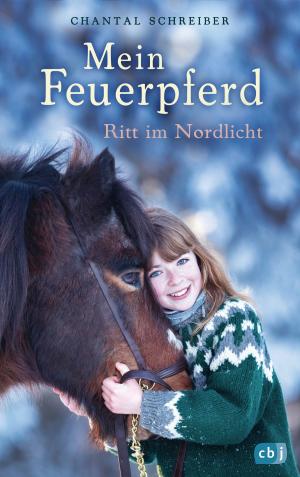Book cover of Mein Feuerpferd - Ritt im Nordlicht