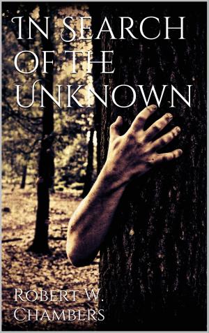 Cover of the book In Search of the Unknown by Jörg Anschütz