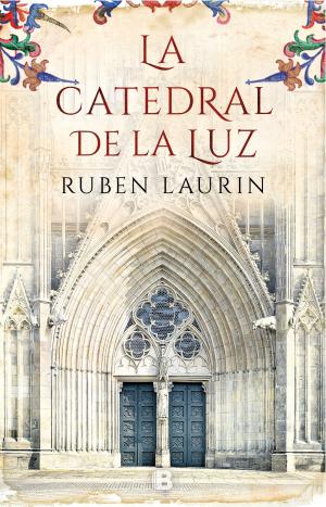 Cover of the book La catedral de la luz by Julio Llamazares