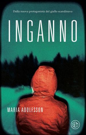 Cover of the book Inganno by Liza Marklund