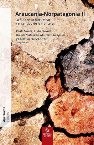 Cover of the book Araucania-Norpatagonia II by Ana Ramos, Claudia Briones