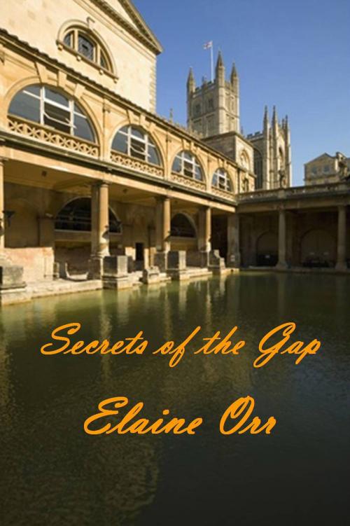 Cover of the book Secrets of the Gap by Elaine L. Orr, Lifelong Dreams Publishing