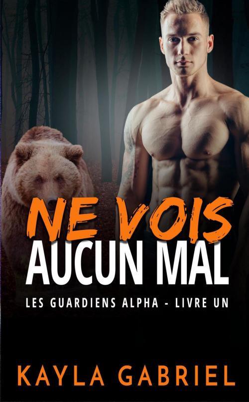 Cover of the book Ne vois aucun mal by Kayla Gabriel, Kayla Gabriel