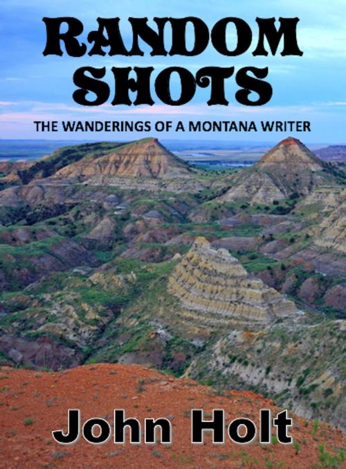 Cover of the book Random Shots by John Holt, Absolutely Amazing Ebooks