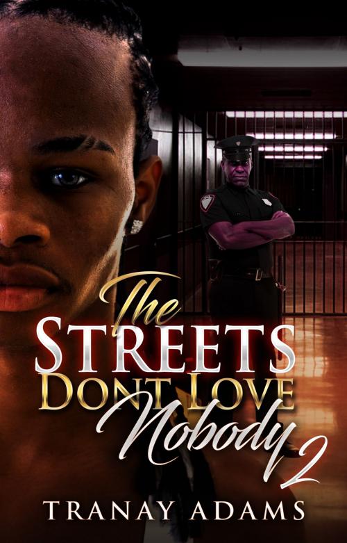 Cover of the book The Streets Don't Love Nobody 2 by Tranay Adams, PublishDrive