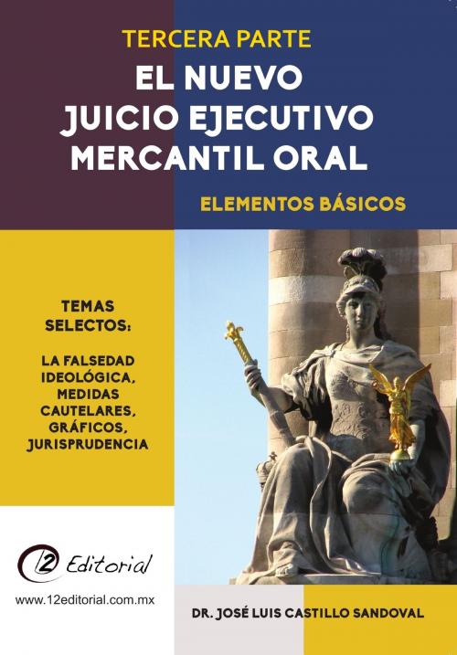 Cover of the book El nuevo Juicio Ejecutivo Mercantil Oral: Parte 3 by José Luis Castillo Sandoval, 12 Editorial