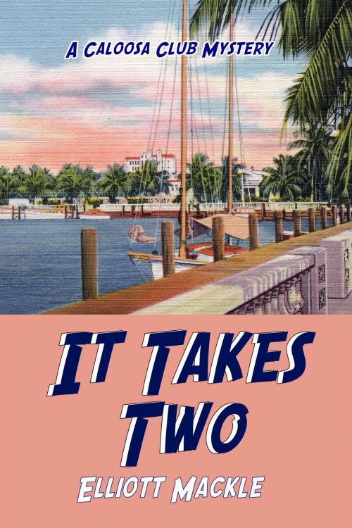Cover of the book It Takes Two: A Novel by Elliott Mackle, Elliott Mackle