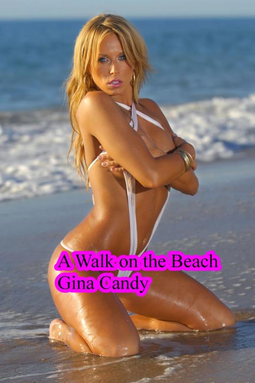 Cover of the book A Walk on the Beach by Gina Candy, Gina Candy