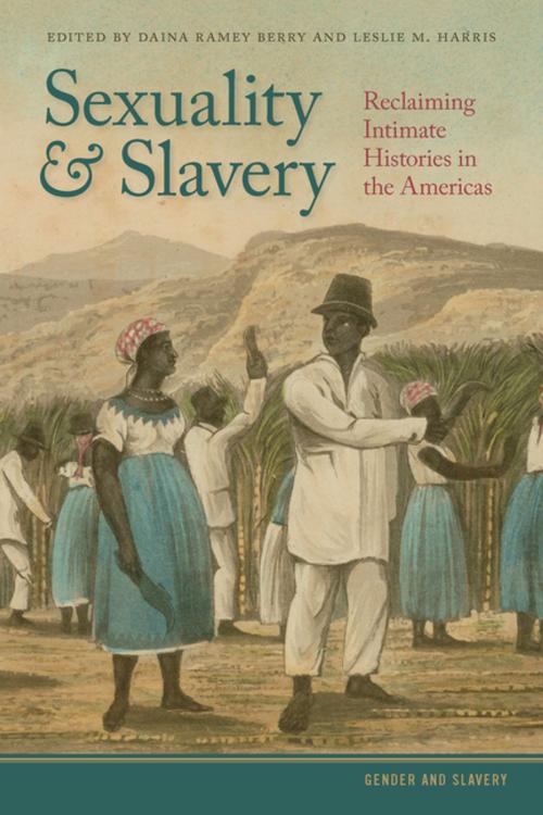 Cover of the book Sexuality and Slavery by Trevor Burnard, Stephanie M. H. Camp, David Doddington, Jim Downs, Thomas A. Foster, Marisa Fuentes, Stephanie Jones-Rogers, Jessica Millward, Bianca Premo, Brenda Stevenson, University of Georgia Press