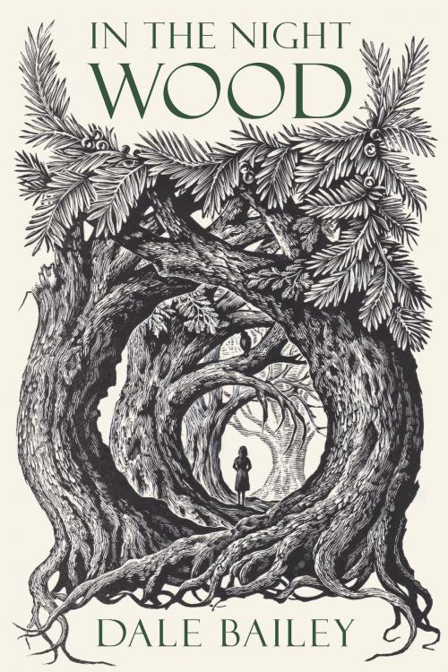 Cover of the book In the Night Wood by Dale Bailey, HMH Books