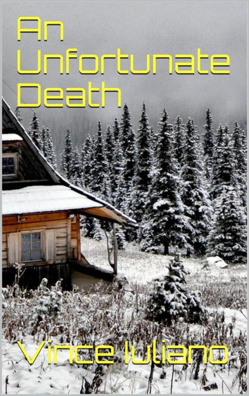 Cover of the book An Unfortunate Death by Vince Iuliano, Vince Iuliano
