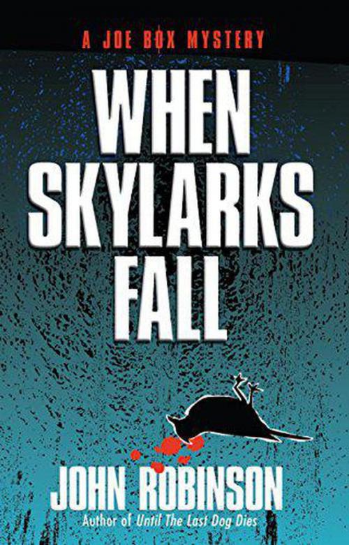 Cover of the book When Skylarks Fall by John Robinson, Cameron Bane