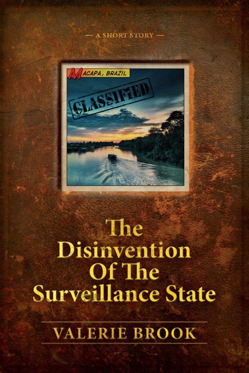 Cover of the book The Disinvention Of The Surveillance State by Valerie Brook, Kickit Press