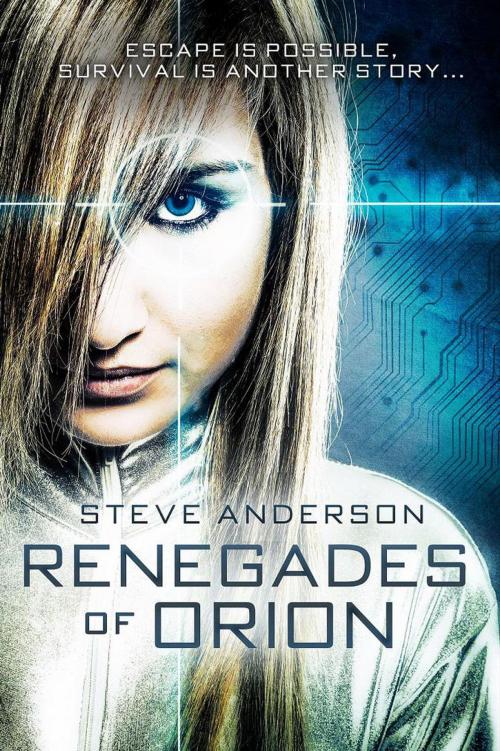 Cover of the book Renegades of Orion by Steve Anderson, Steve Anderson