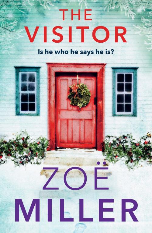 Cover of the book The Visitor by Zoe Miller, Hachette Ireland