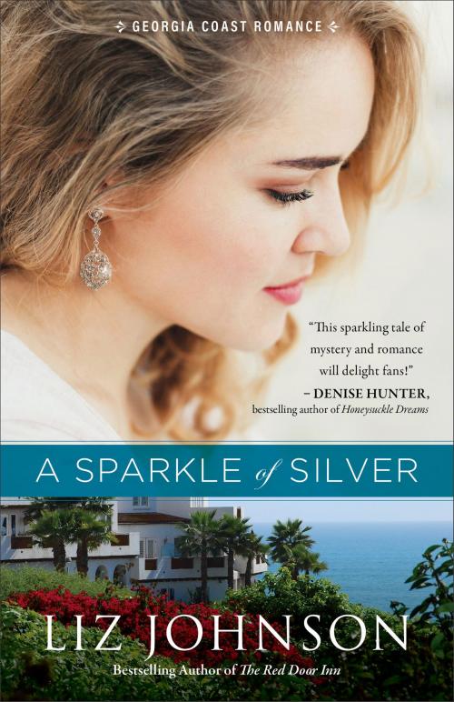 Cover of the book A Sparkle of Silver (Georgia Coast Romance Book #1) by Liz Johnson, Baker Publishing Group