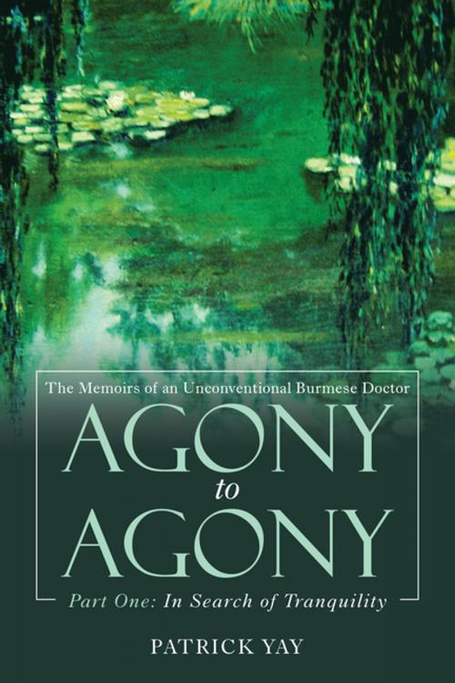 Cover of the book Agony to Agony by Patrick Yay, AuthorHouse UK