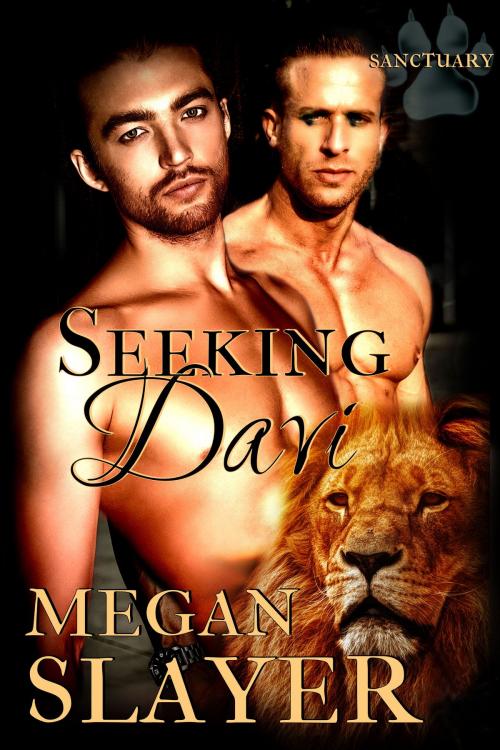 Cover of the book Seeking Davi by Megan Slayer, Supernova Indie Publishing Services, LLC