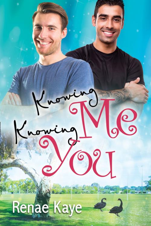 Cover of the book Knowing Me, Knowing You by Renae Kaye, Dreamspinner Press