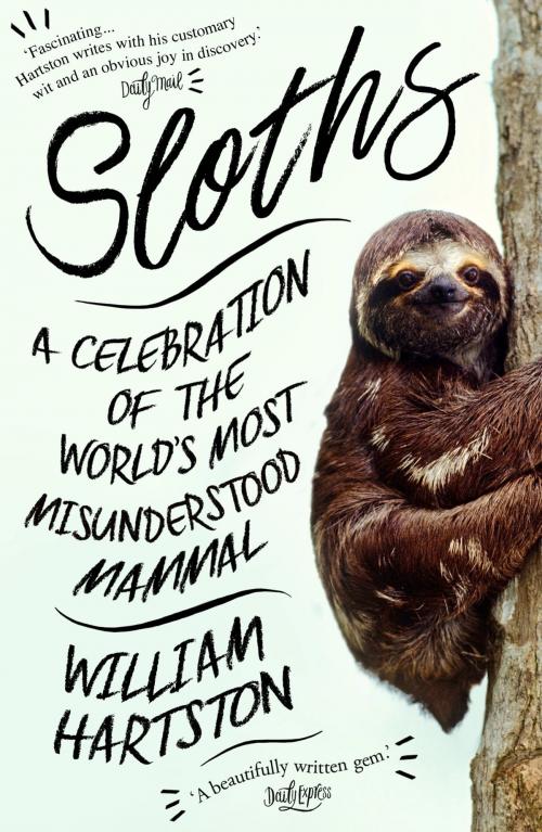 Cover of the book Sloths by William Hartston, Atlantic Books