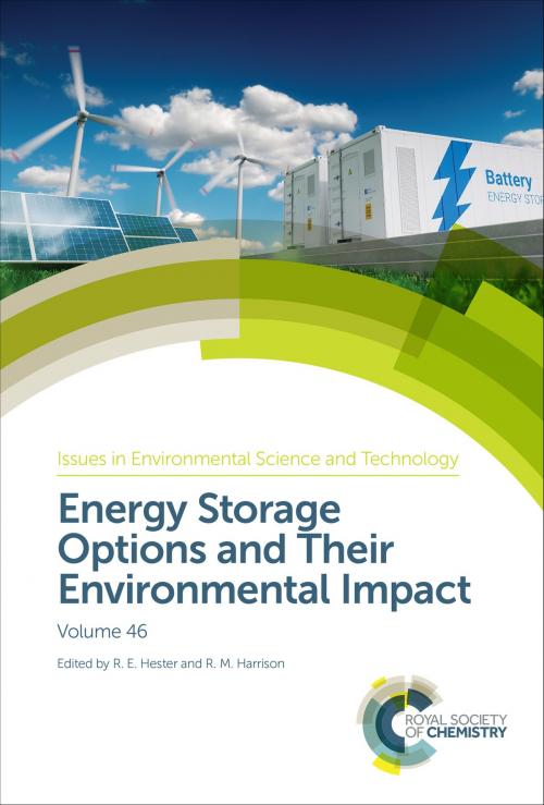 Cover of the book Energy Storage Options and Their Environmental Impact by Robert Lynch, David Evans, Noel Buckley, Fernando Rhen, Alexander J Cowan, Yukitaka Kato, Rasmus Lund, Heidi Hottenroth, Reinhard Madlener, Royal Society of Chemistry