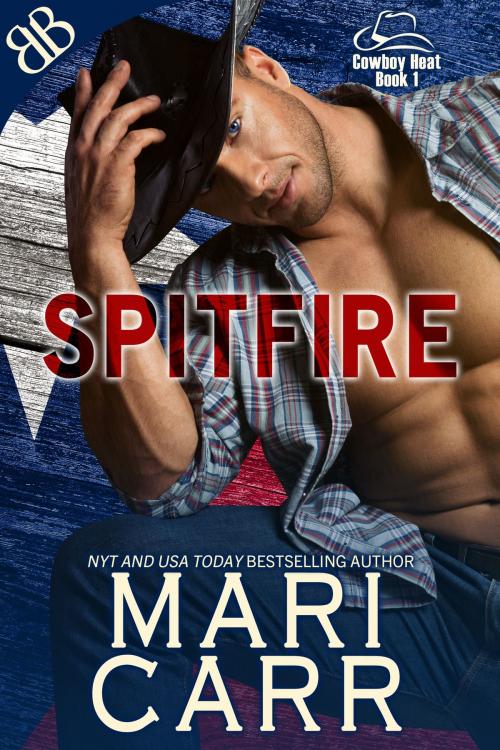 Cover of the book Spitfire by Mari Carr, Book Boutiques