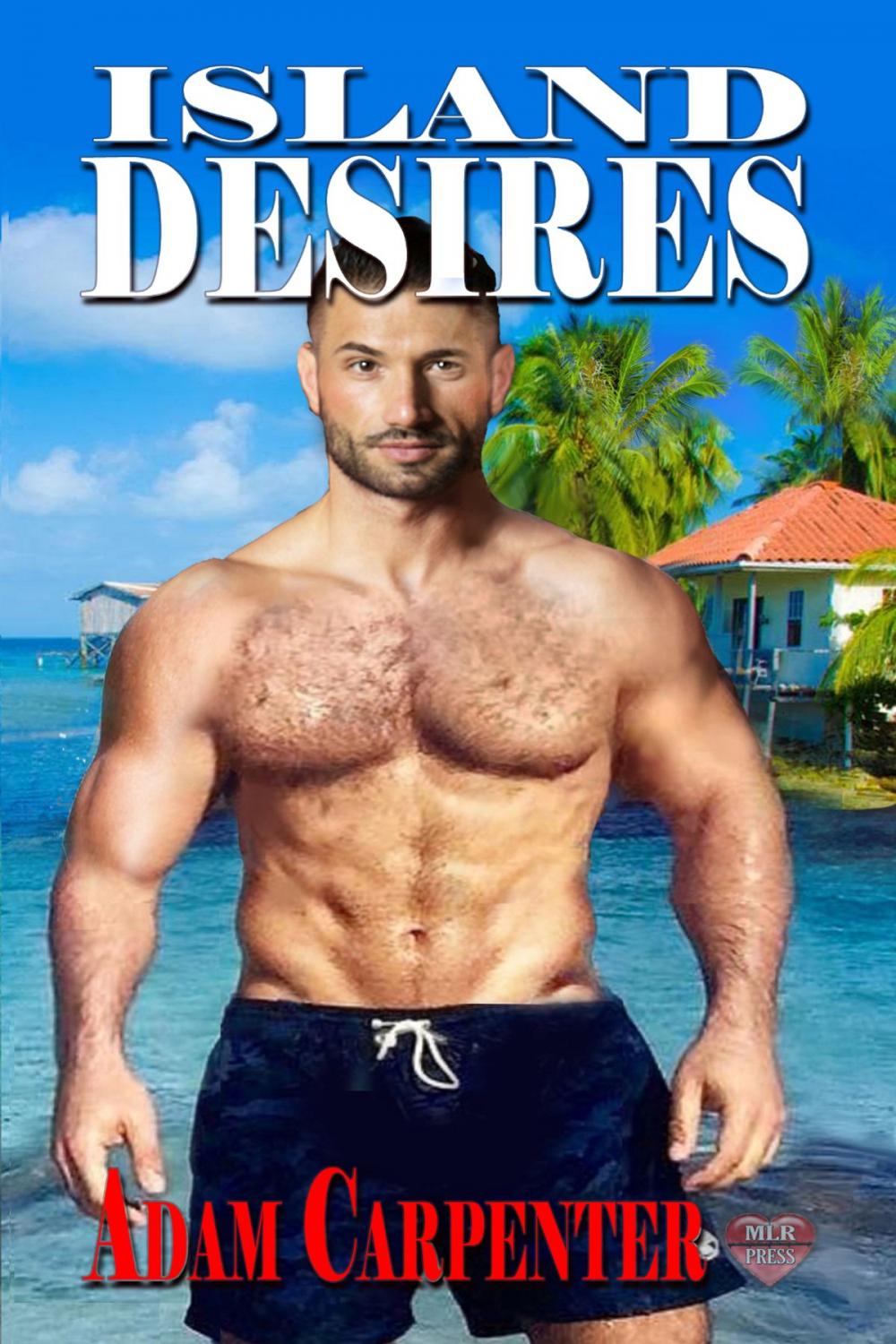 Big bigCover of Island Desires