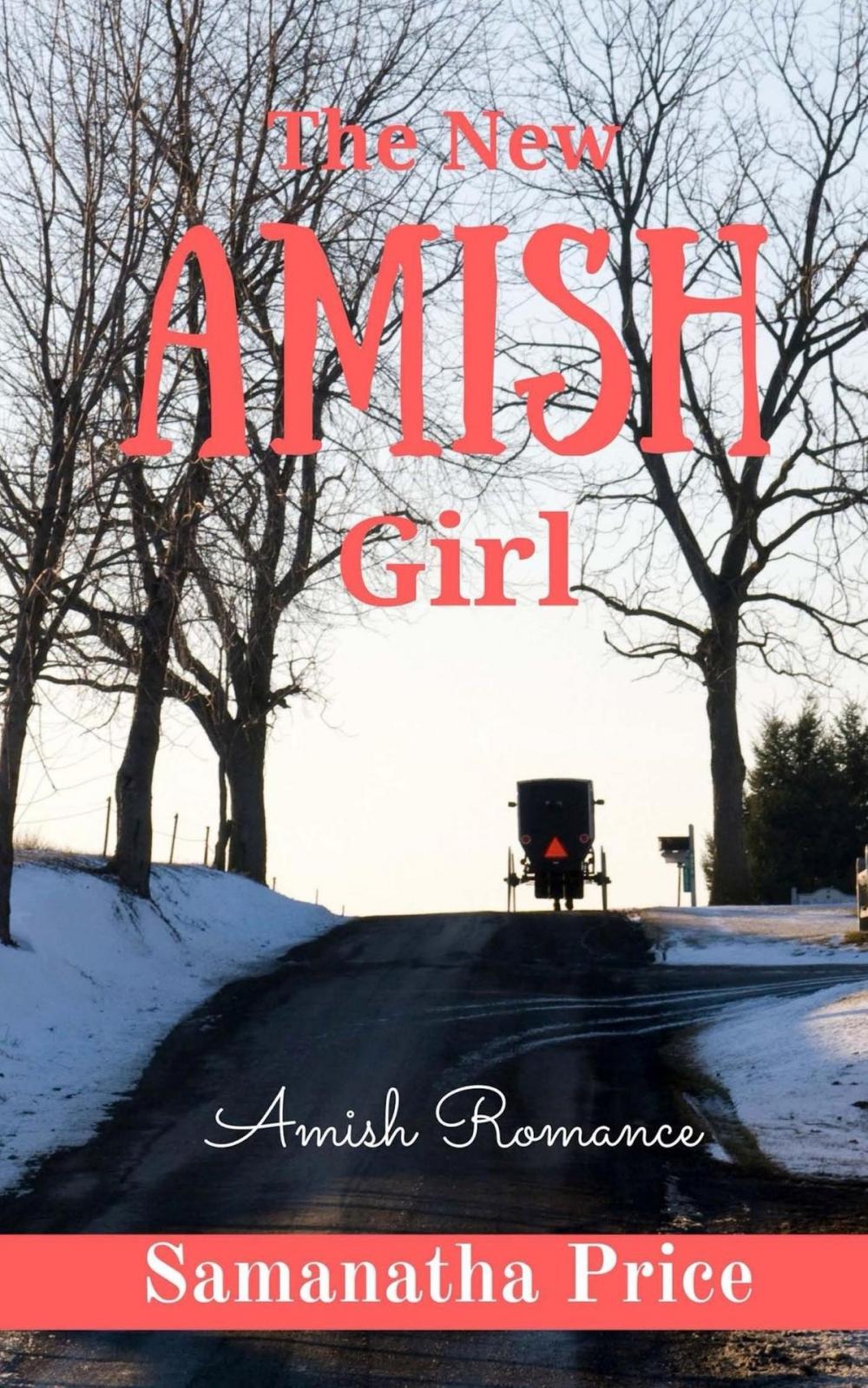 Big bigCover of The New Amish Girl