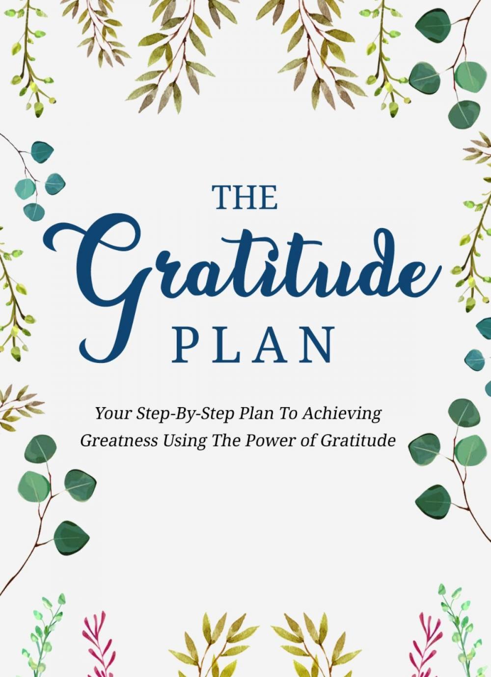 Big bigCover of The Gratitude Plan