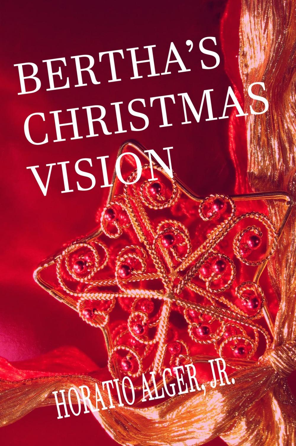 Big bigCover of Bertha's Christmas Vision