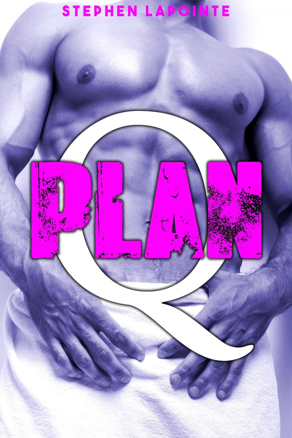 Big bigCover of Plan Q