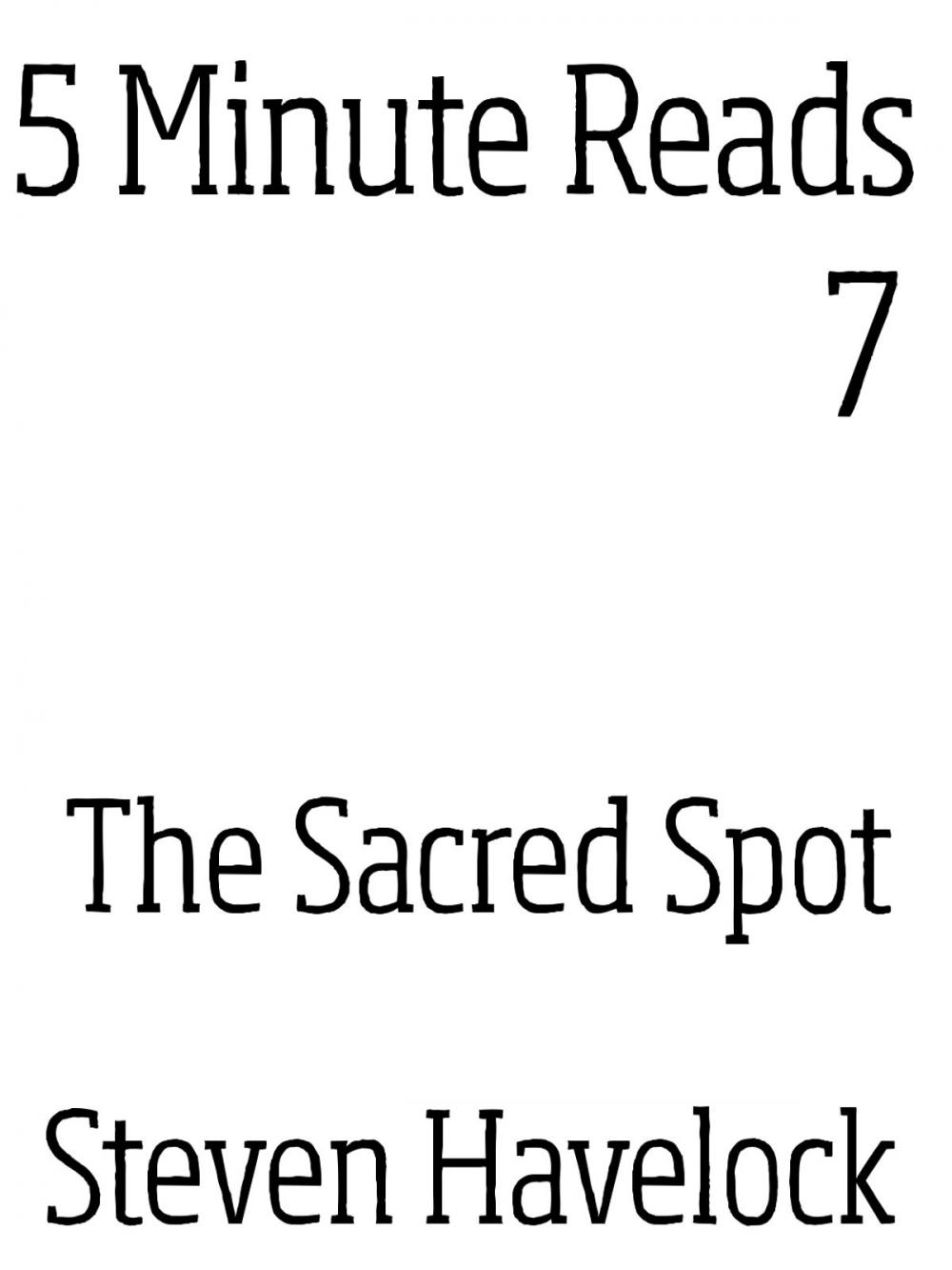 Big bigCover of The Sacred Spot