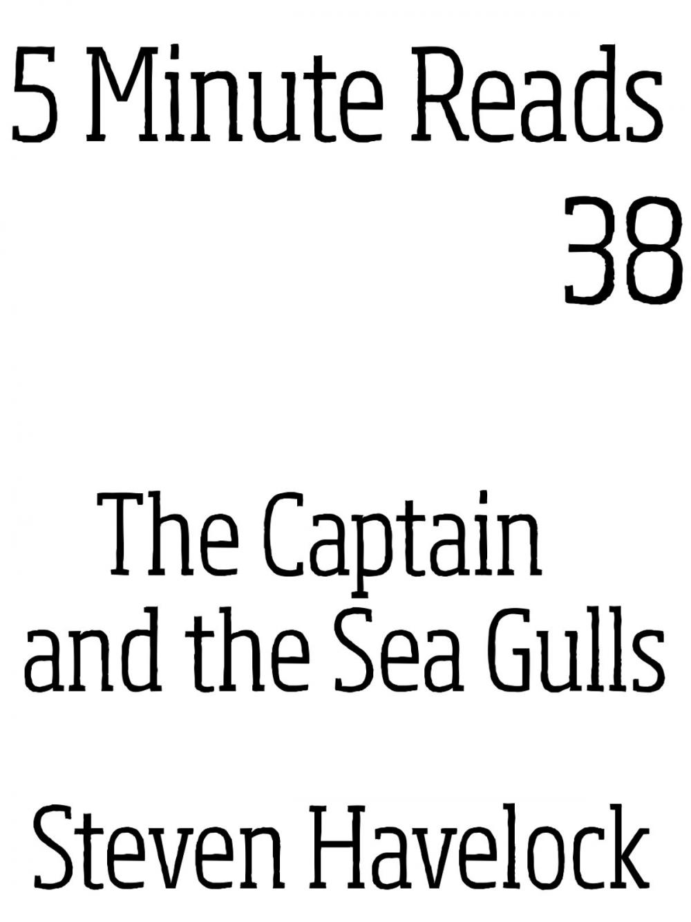 Big bigCover of The Captain and the Sea Gulls