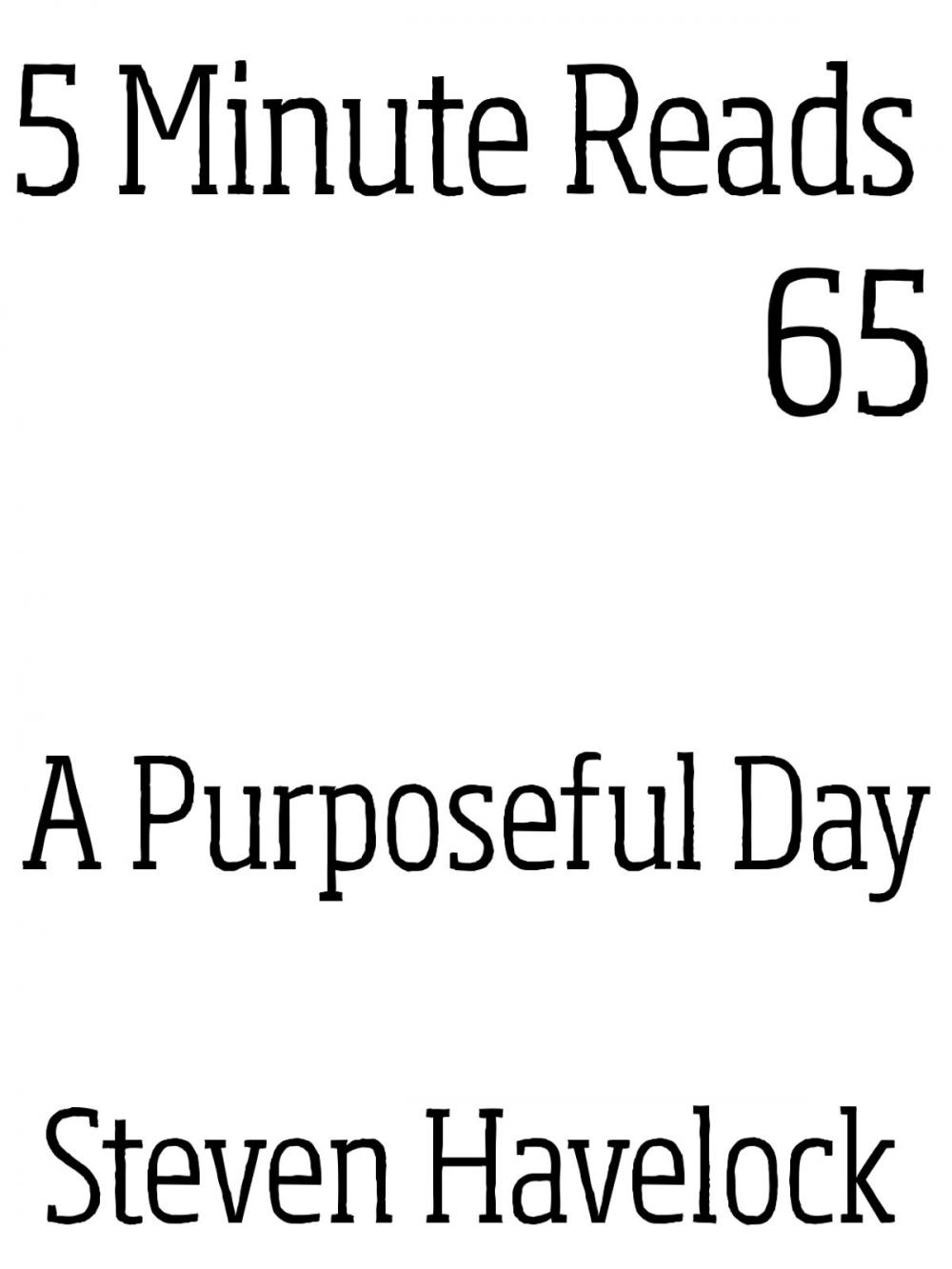 Big bigCover of A Purposeful Day