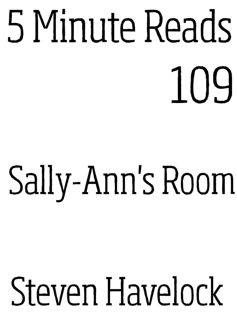 Big bigCover of Sally-Ann's Room