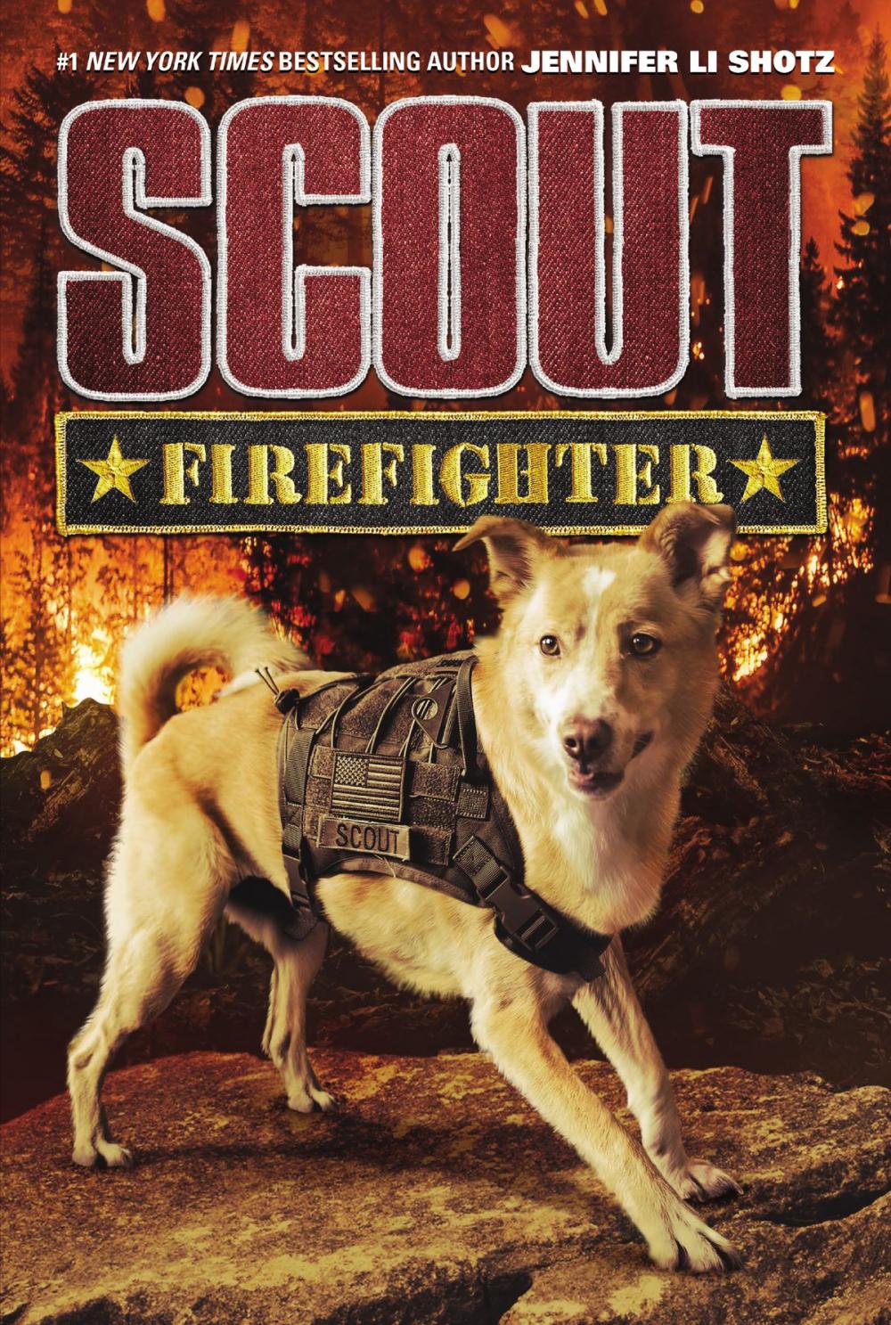 Big bigCover of Scout: Firefighter