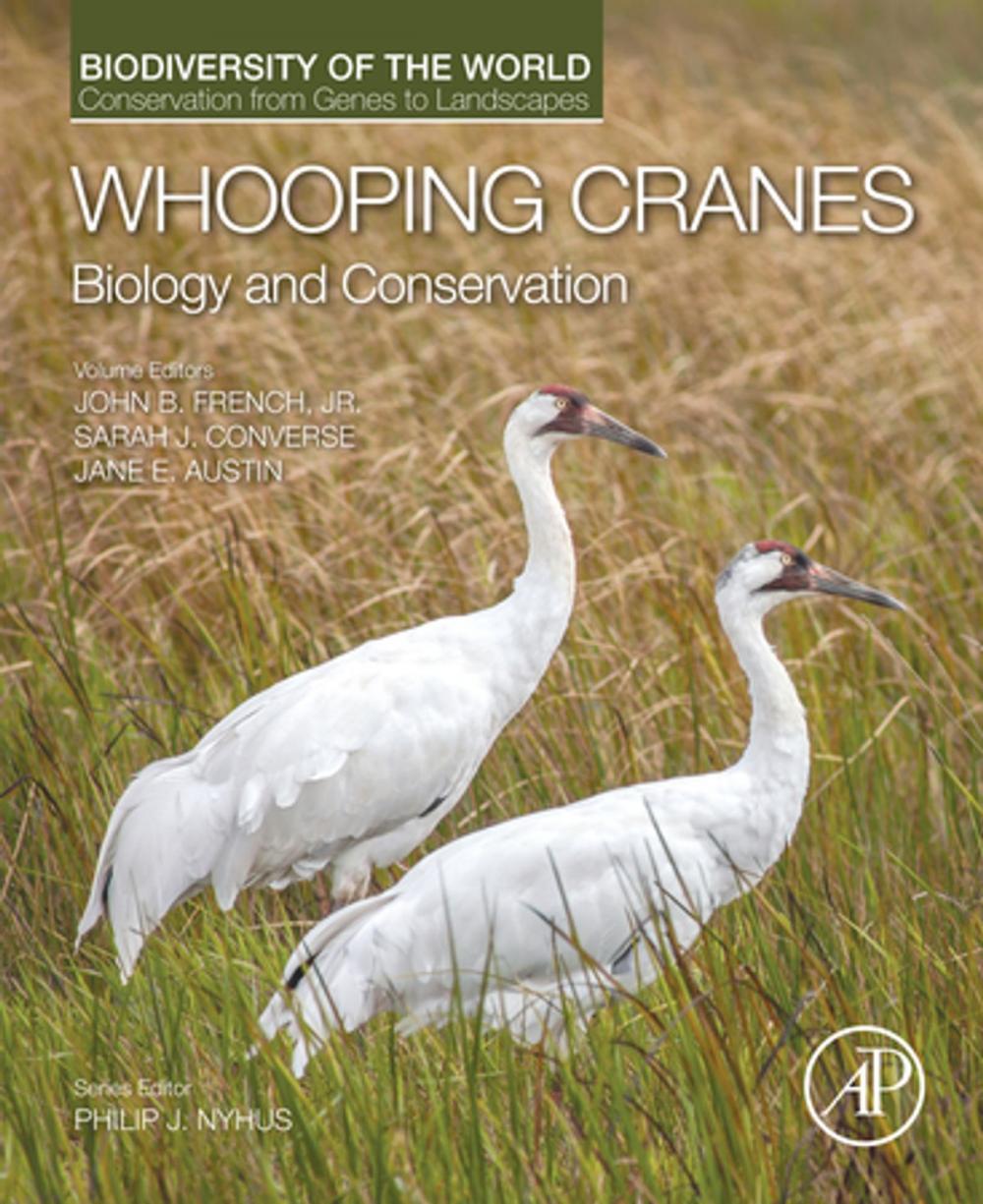 Big bigCover of Whooping Cranes: Biology and Conservation