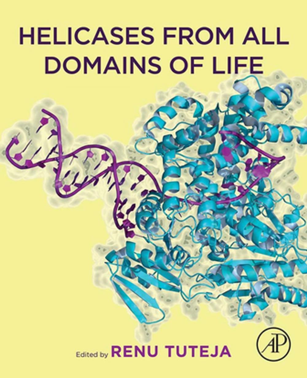 Big bigCover of Helicases from All Domains of Life