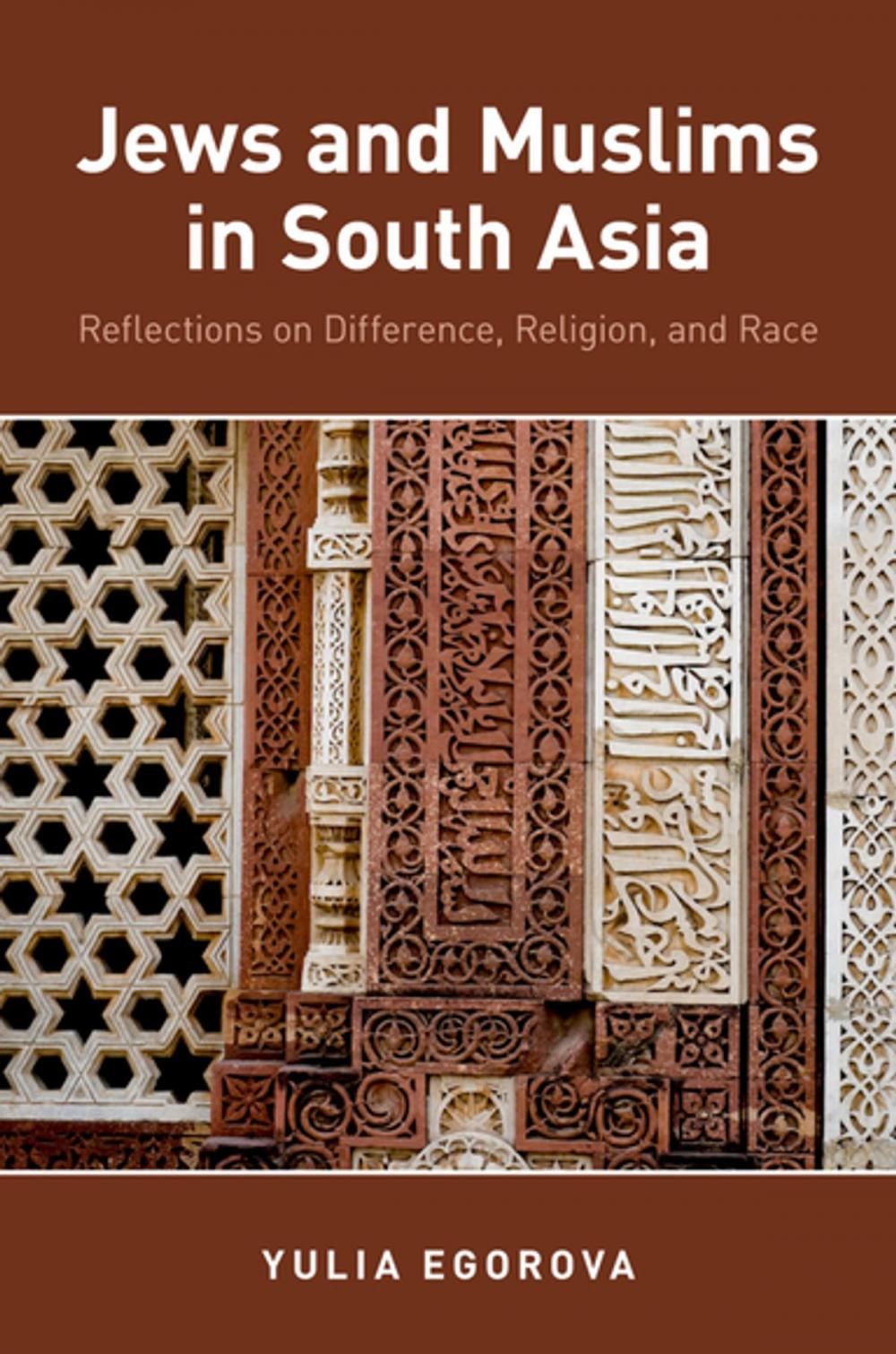 Big bigCover of Jews and Muslims in South Asia