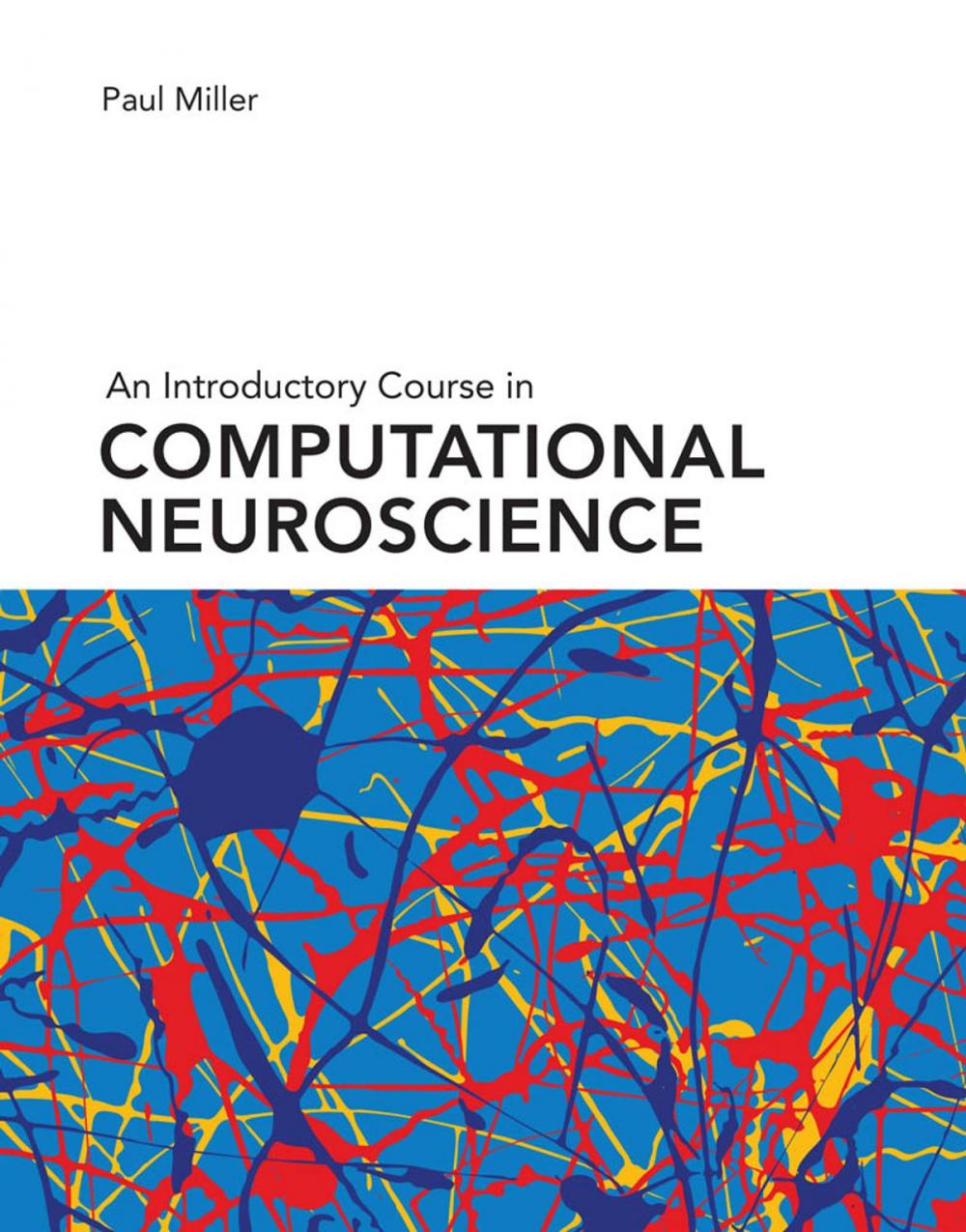 Big bigCover of An Introductory Course in Computational Neuroscience