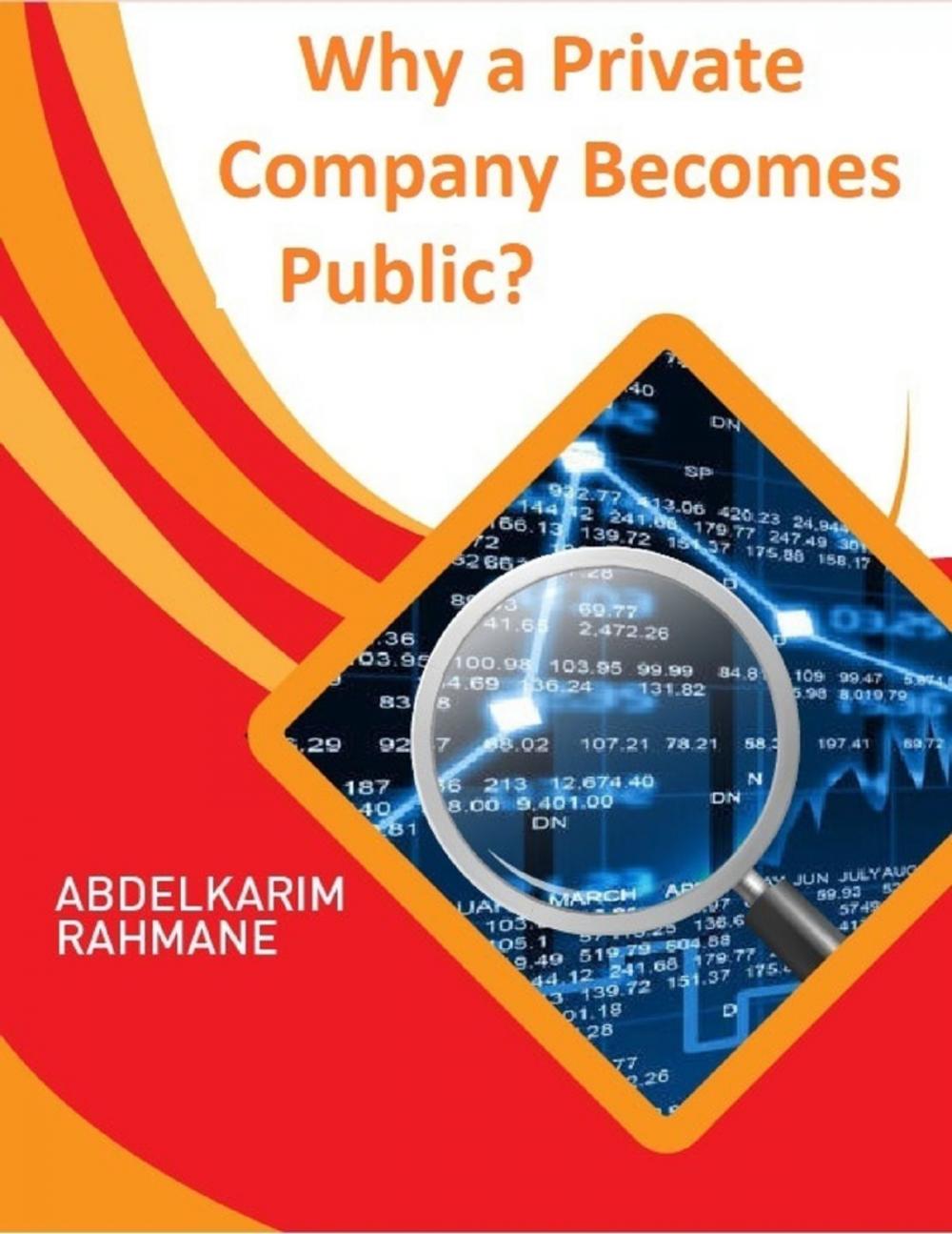 Big bigCover of Why a Private Company Becomes Public?