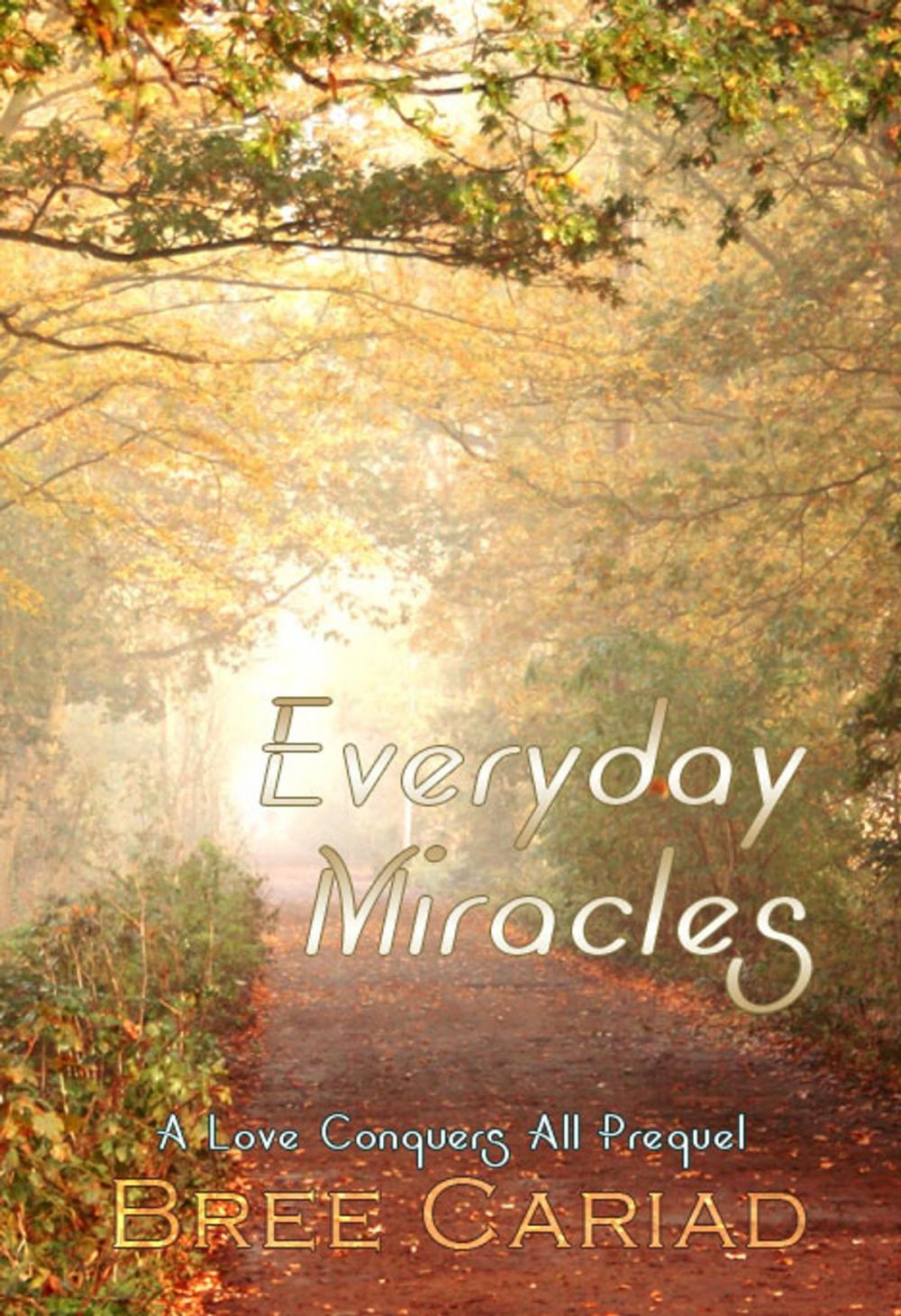 Big bigCover of Everyday Miracles